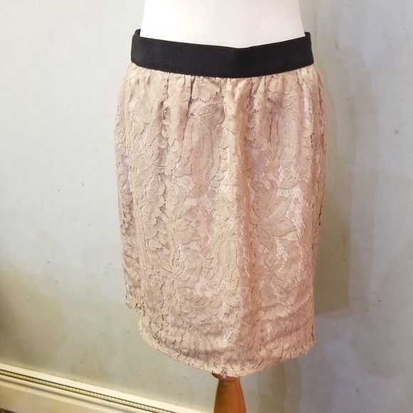 LOFT Dresses & Skirts - LOFT Ann Taylor lace mini skirt (L24)